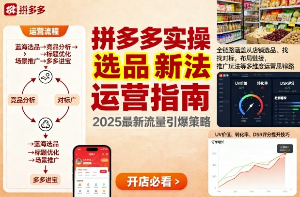 王校长9月12拼多多实操新玩法，全链路涵盖从店铺选品、找对标，布局链接，推广玩法等多维度运营思路(更新)-极光网创