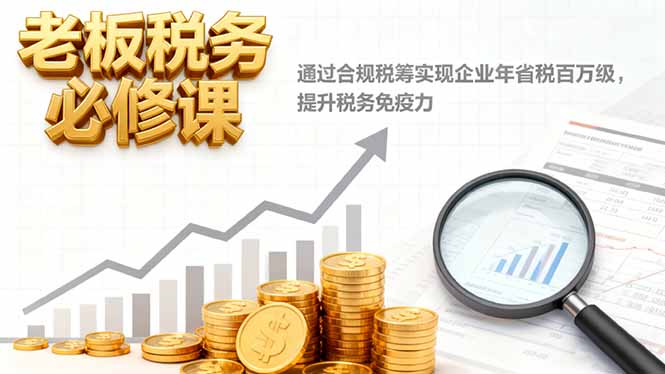 老板税务必修课，通过合规税筹实现企业年省税百万级，提升税务免疫力-极光网创