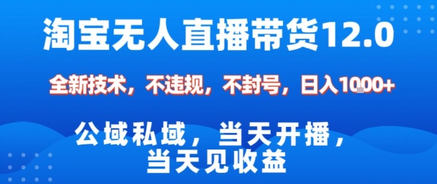 淘宝无人直播12.0，公域私域技术，不封号，不违规布局双十一流量风口，日入1k(独家技术)【揭秘】-极光网创