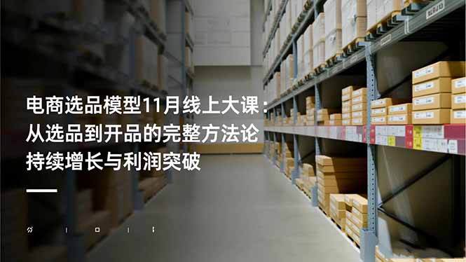 电商选品模型11月线上大课：从选品到开品的完整方法论 持续增长与利润突破-极光网创
