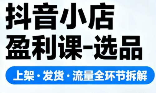 抖音小店盈利课-选品·上架·发货·流量全环节拆解-极光网创