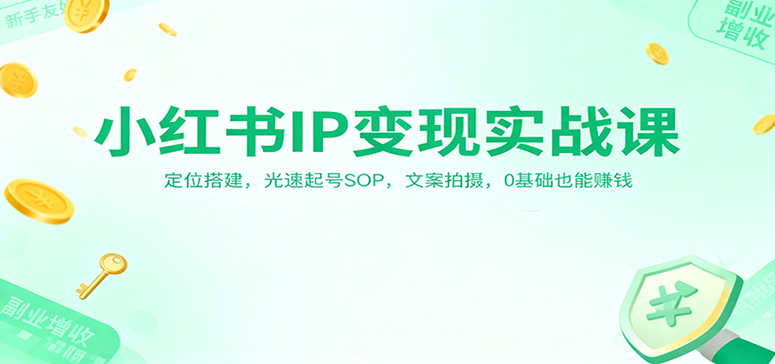小红书IP变现实战课：定位搭建，光速起号SOP，文案拍摄，0基础也能赚钱-极光网创