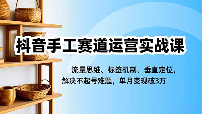 抖音手工赛道运营实战课，流量思维、标签机制、垂直定位，解决不起号难题，单月变现破3万-极光网创