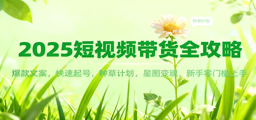 2025短视频带货全攻略：爆款文案，快速起号，种草计划，星图变现，新手零门槛上手-极光网创