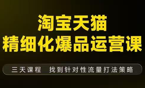 猫课子幽·淘宝天猫精细化爆品运营【音频+字幕+文档】(9月12-14杭州线下课)-极光网创