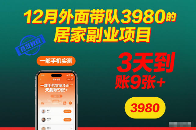 12月外面带队3980的居家副业项目，一部手机实测3天到账9张+，首发教程【揭秘】-极光网创