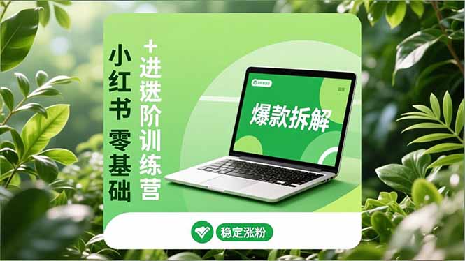 小红书零基础+高阶训练营：安全养号、爆款拆解、长效运营，实现稳定涨粉与变现-极光网创