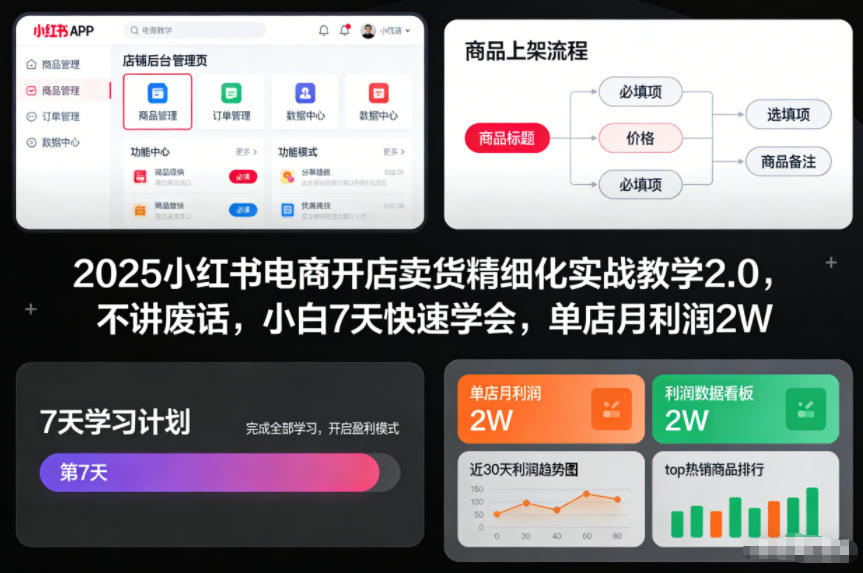 2025小红书电商开店卖货精细化实战教学2.0，不讲废话，小白7天快速学会，单店月利润2W-极光网创