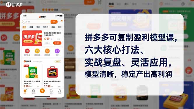 拼多多可复制盈利模型课，六大核心打法、实战复盘、灵活应用，模型清晰，稳定产出高利润-极光网创