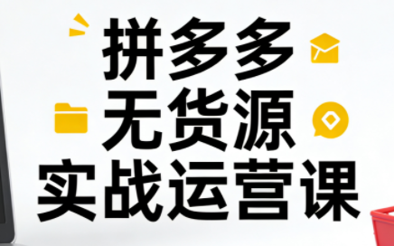 子枫老师·拼多多无货源实战运营课(更新12月)-极光网创