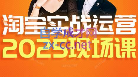 推易·淘宝全套运营现场课程(更新12月)-极光网创