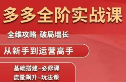 大炮·拼多多全阶实战课程(更新2026)-极光网创