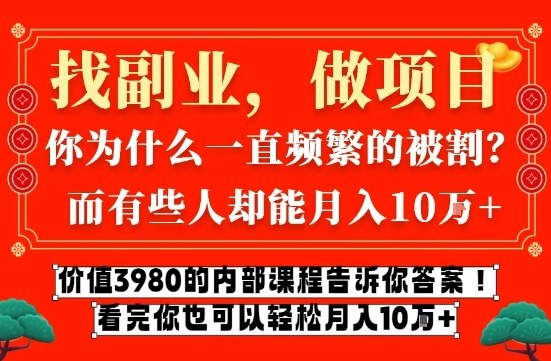 价值3980的网创内部课程，告诉你互联网创业月入10个W的秘密【揭秘】-极光网创