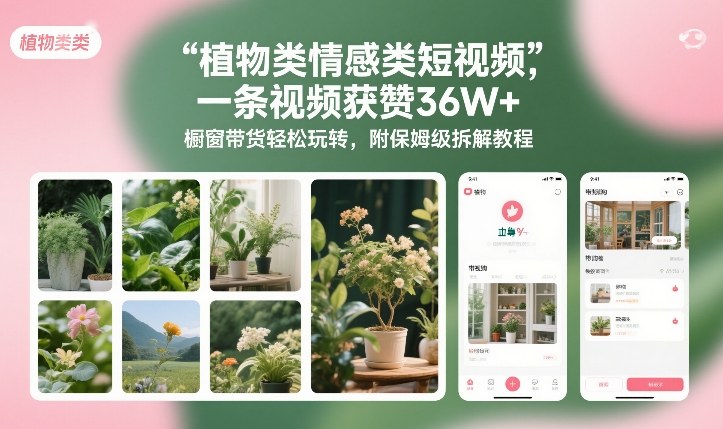植物类情感类短视频，一条视频获赞36W+，橱窗带货轻松玩转，附保姆级拆解教程-极光网创